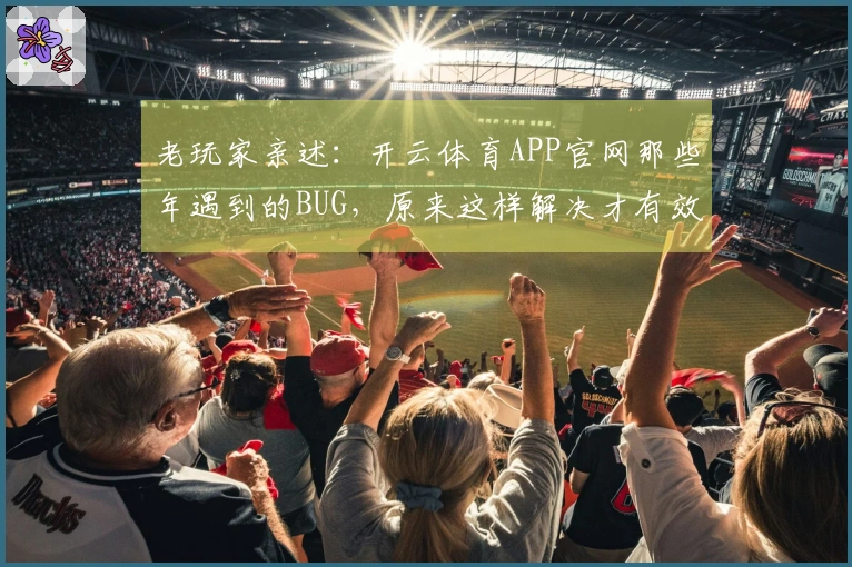 老玩家亲述：开云体育APP官网那些年遇到的BUG，原来这样解决才有效
