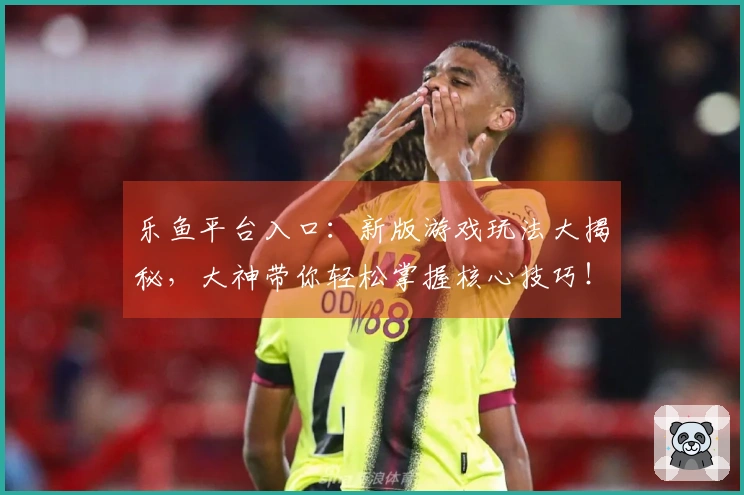 乐鱼平台入口:新版游戏玩法大揭秘,大神带你轻松掌握核心技巧!