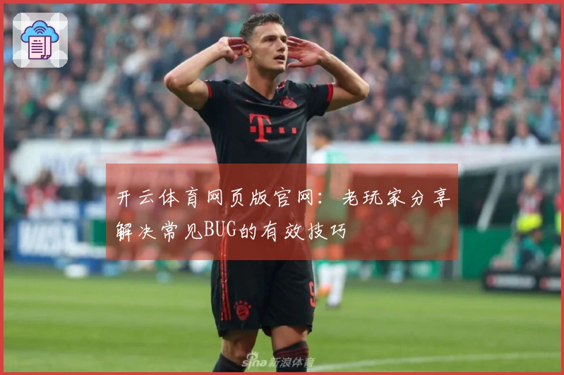 开云体育网页版官网：老玩家分享解决常见BUG的有效技巧