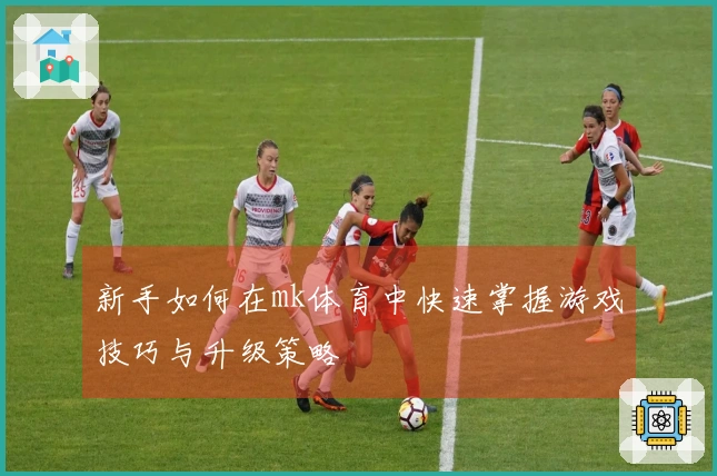 新手如何在mk体育中快速掌握游戏技巧与升级策略